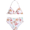 Starfish Multicolor