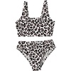 Multicolor Leopard