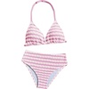 Striped Purple