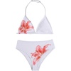 White and Red