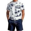 image:imageRoseSeek Mens 2 Piece Outfits Tropical Graphic Short Sleeve TShirt and Drawstring Waist Shorts SetsBlue White